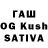 Псилоцибиновые грибы GOLDEN TEACHER KACHUGANIN