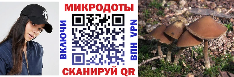 Купить  Кедровый  Галлюциногенные грибы мухоморы 