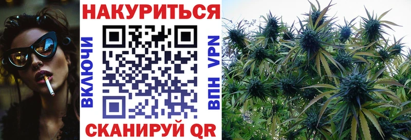 Купить  Кедровый  Конопля LSD WEED 